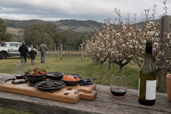 Melbourne: Yarra Valley Food, Wine, Chocolate & Gin Tour