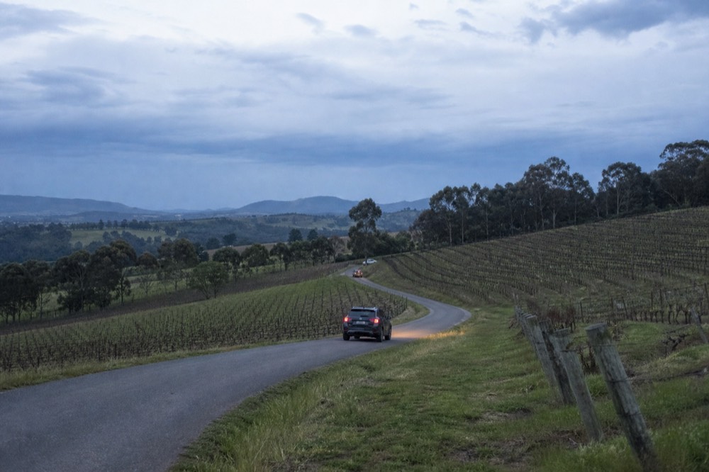 Wide view of Yarra Valley vineyards from a low ridge with a single road curving between the rows under a bright overcast sky