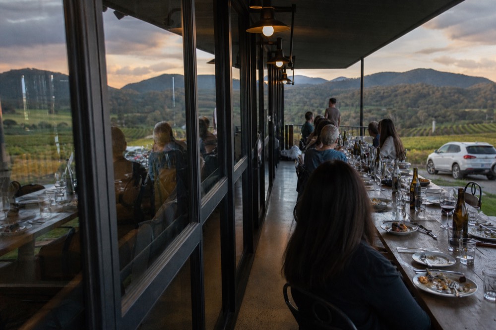 Two-course plated winery lunch on a long shared table beside floor-to-ceiling windows looking over vine rows
