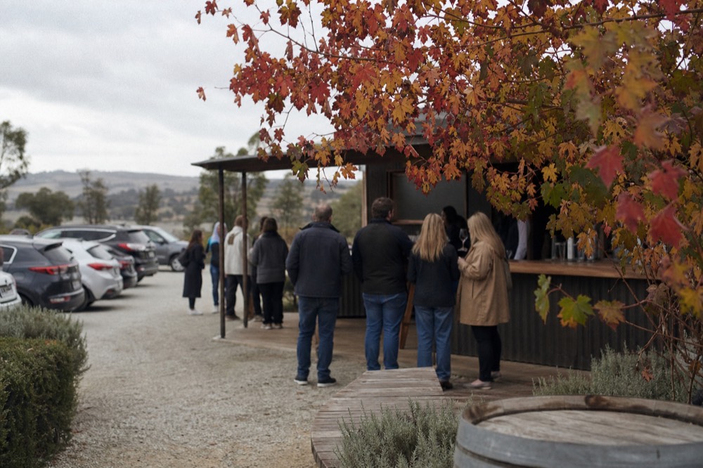 Tour guests queuing at a casual winery counter reading a chalkboard menu with wine glasses in hand